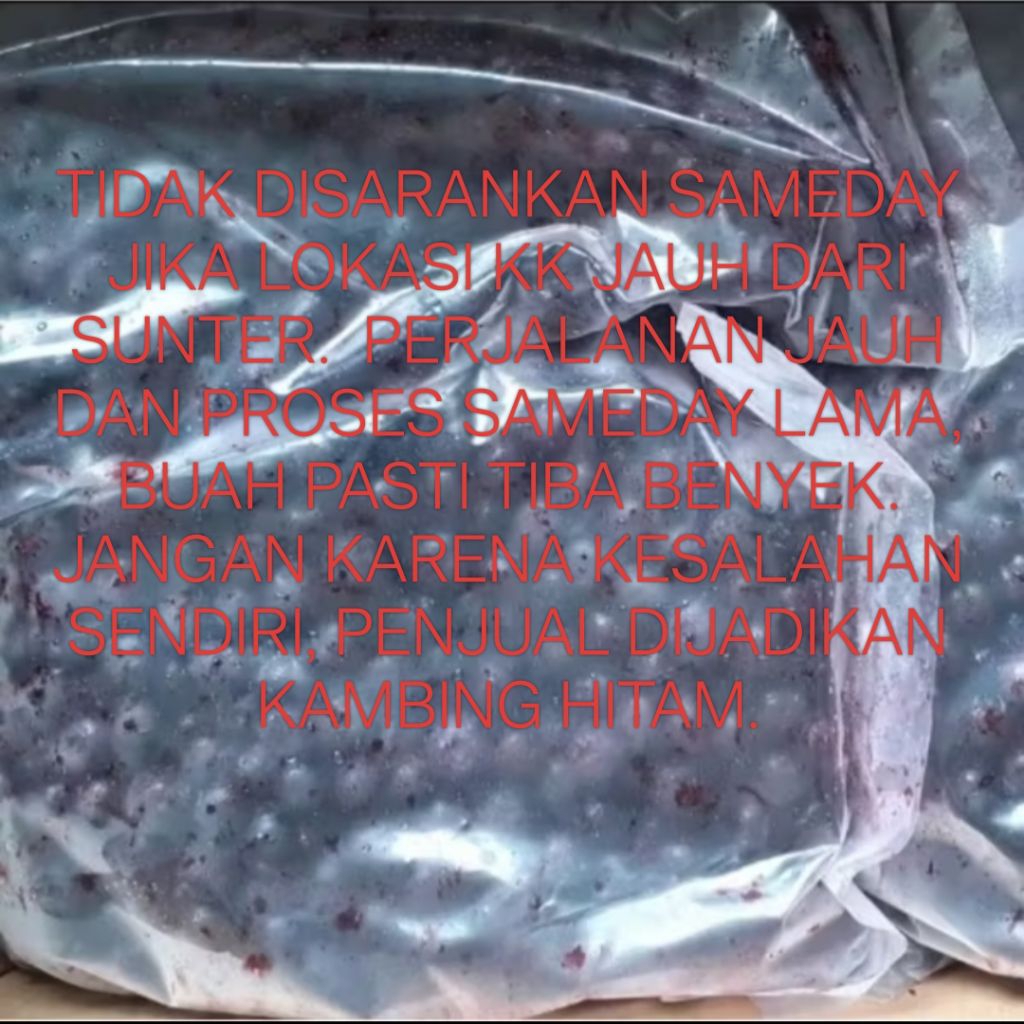 

Frozen Fruit Blueberries Buah Blueberry Beku