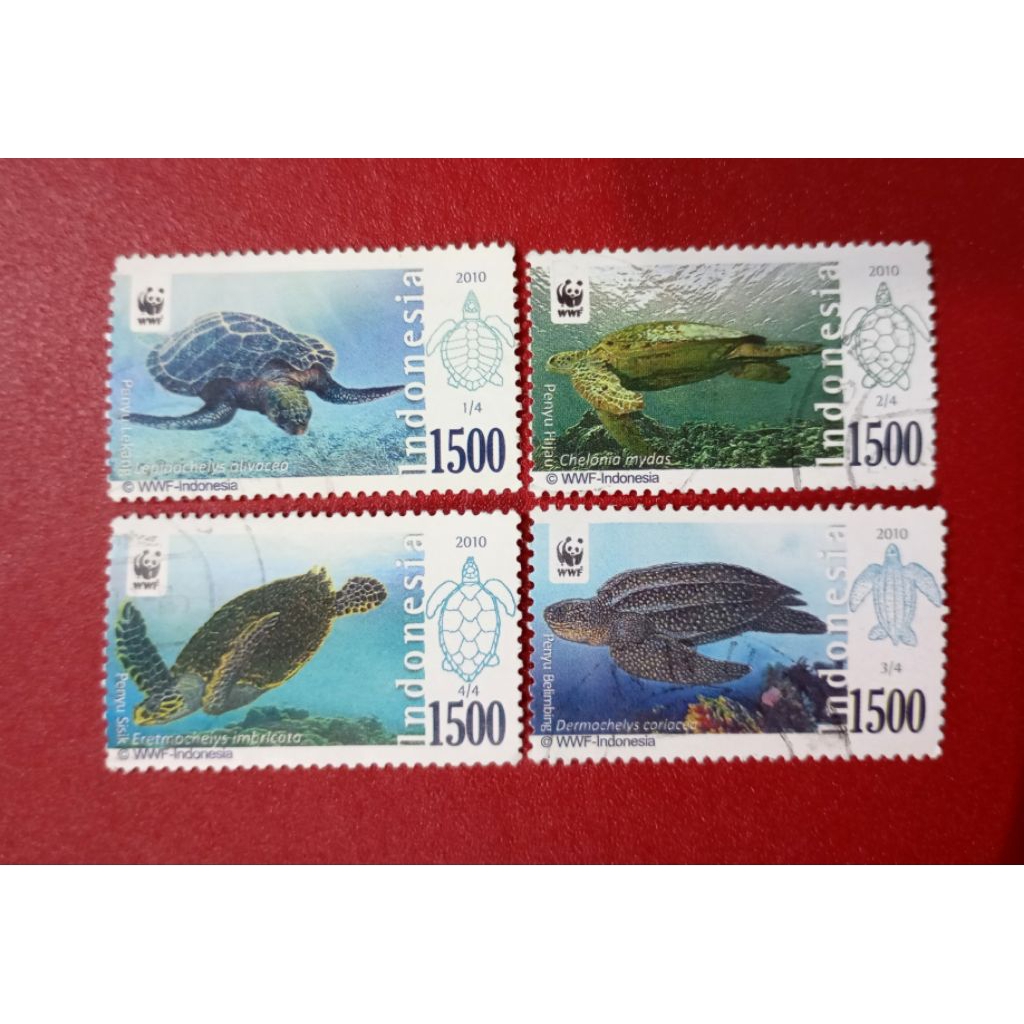 

PRANGKO INDONESIA WWF KEHIDUPAN BAWAH LAUT