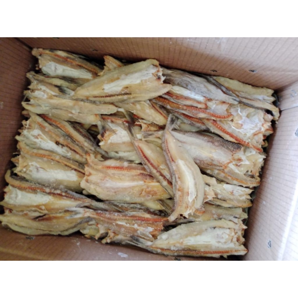 

Ikan Asin Teter 1 kg