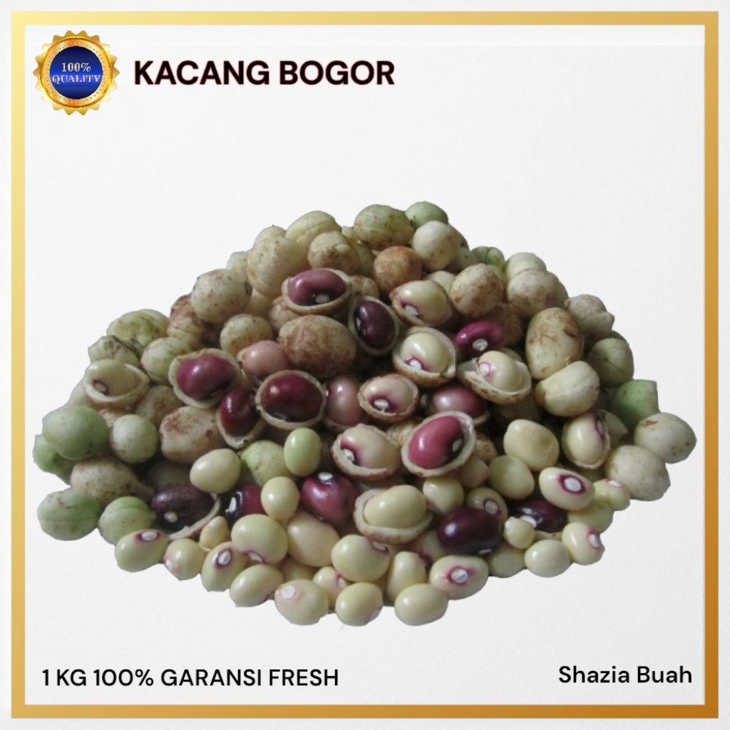 

Kacang Polong / Kacang Bogor / 1KG