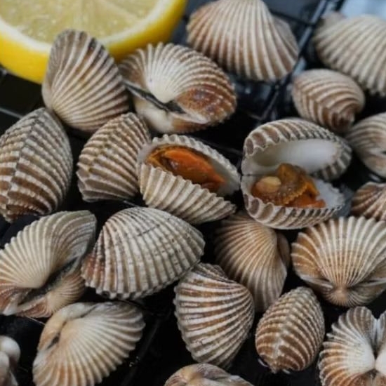 

Kerang DARA Fresh Seafood Segar Pasar Pagi Pontianak