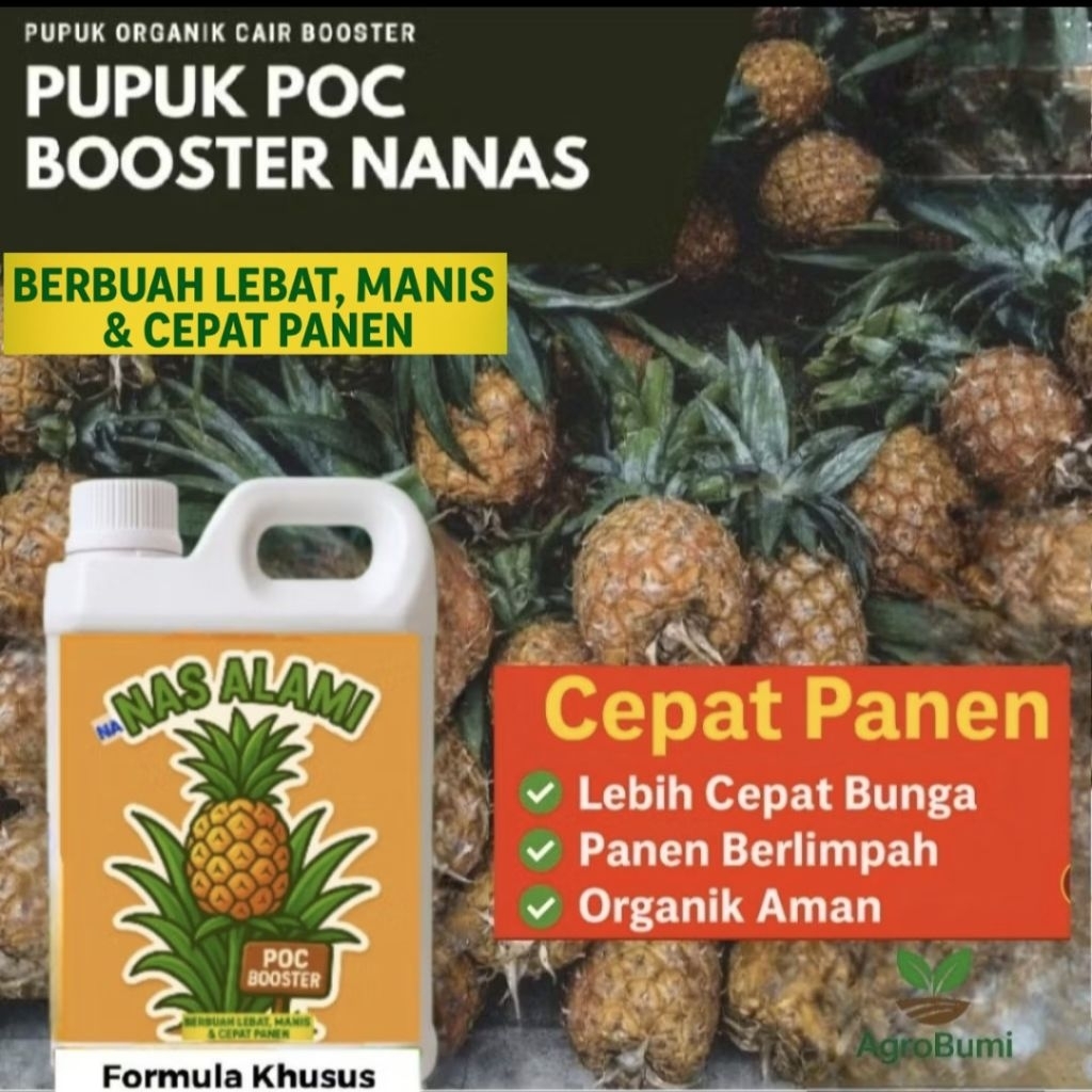 Pupuk Booster Nanas Berbuah Besar & Manis | POC Nanas Organik 1L | Pupuk Perangsang Buah Nanas Cepat