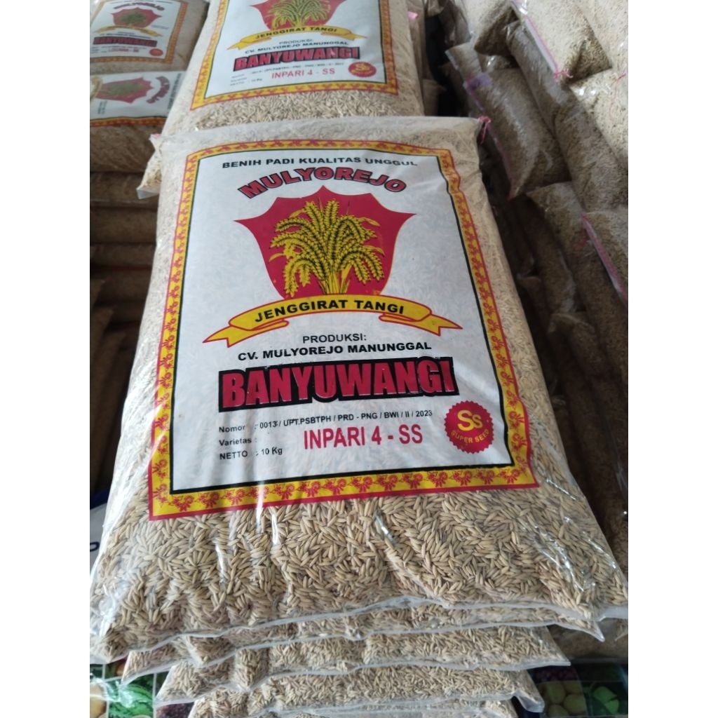 Benih padi inpari 4-SS asli banyuwangi kemasan 10kg