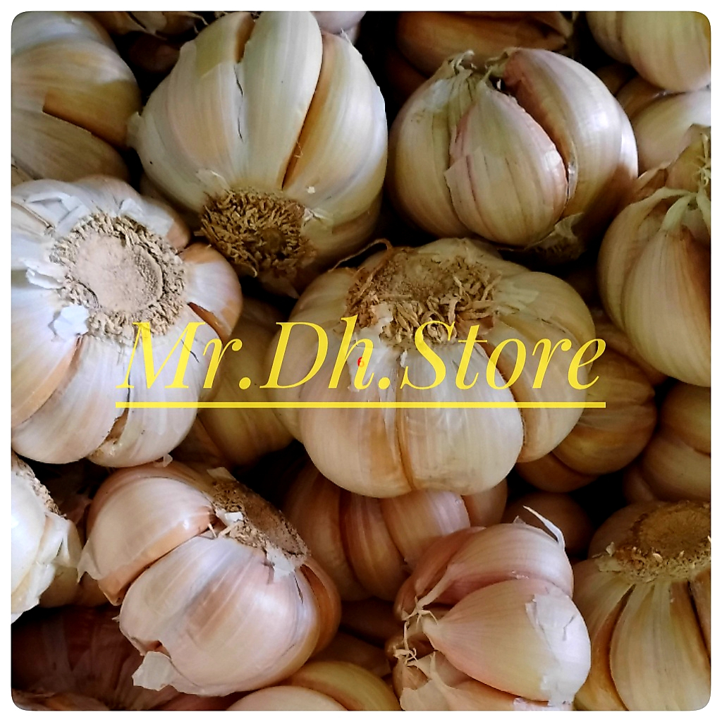 

500 gram bawang putih segar wangi murah