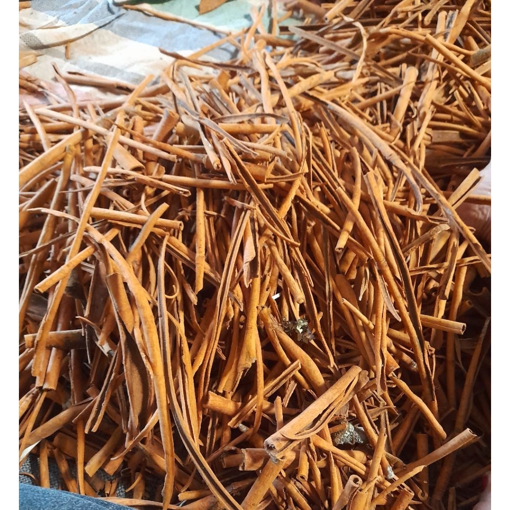 

kulit kayu manis asli kerinci harga 1 kg Rp45.000