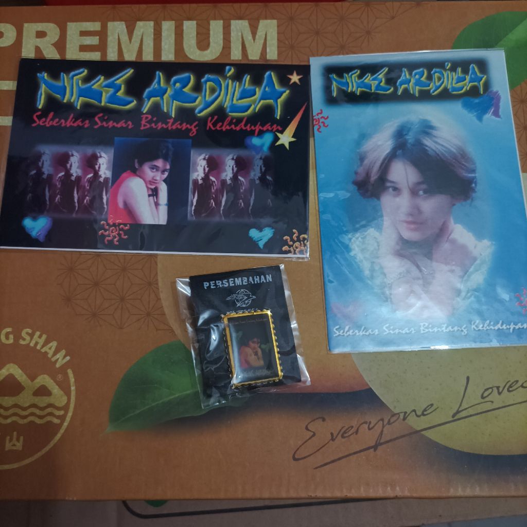 

2 kartu pos nike ardila beserta pin nike ardila langka jarang yang punya buruan di order