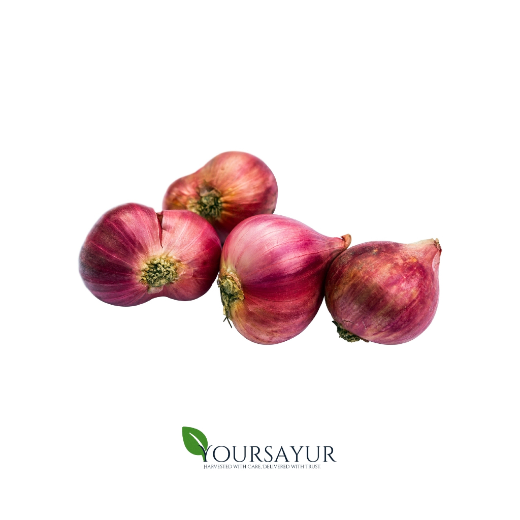 Bawang Merah Kupas Segar | Fresh Bawang Merah Kupas