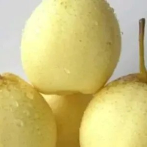 

pear yali 500g