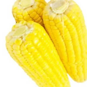 

jagung manis kupas 1kg