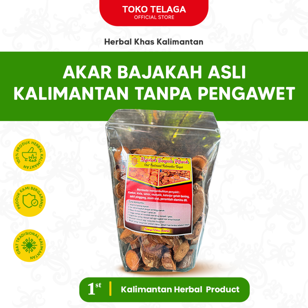 

Minuman Herbal Akar Bajakah - Siap Rebus & Praktis