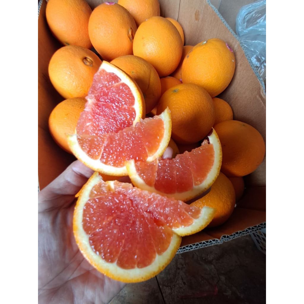 

Jeruk sunkist cara cara