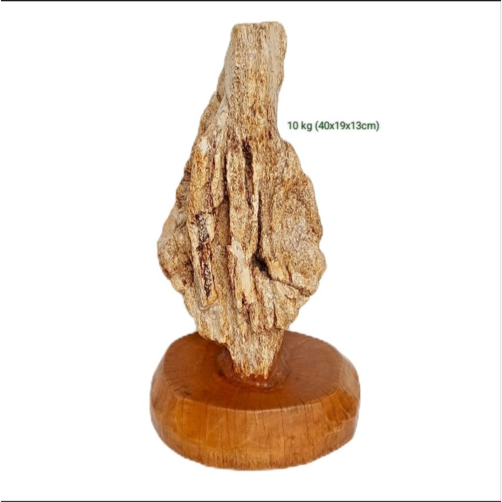 batu akik hias suiseki fosil aren (176)