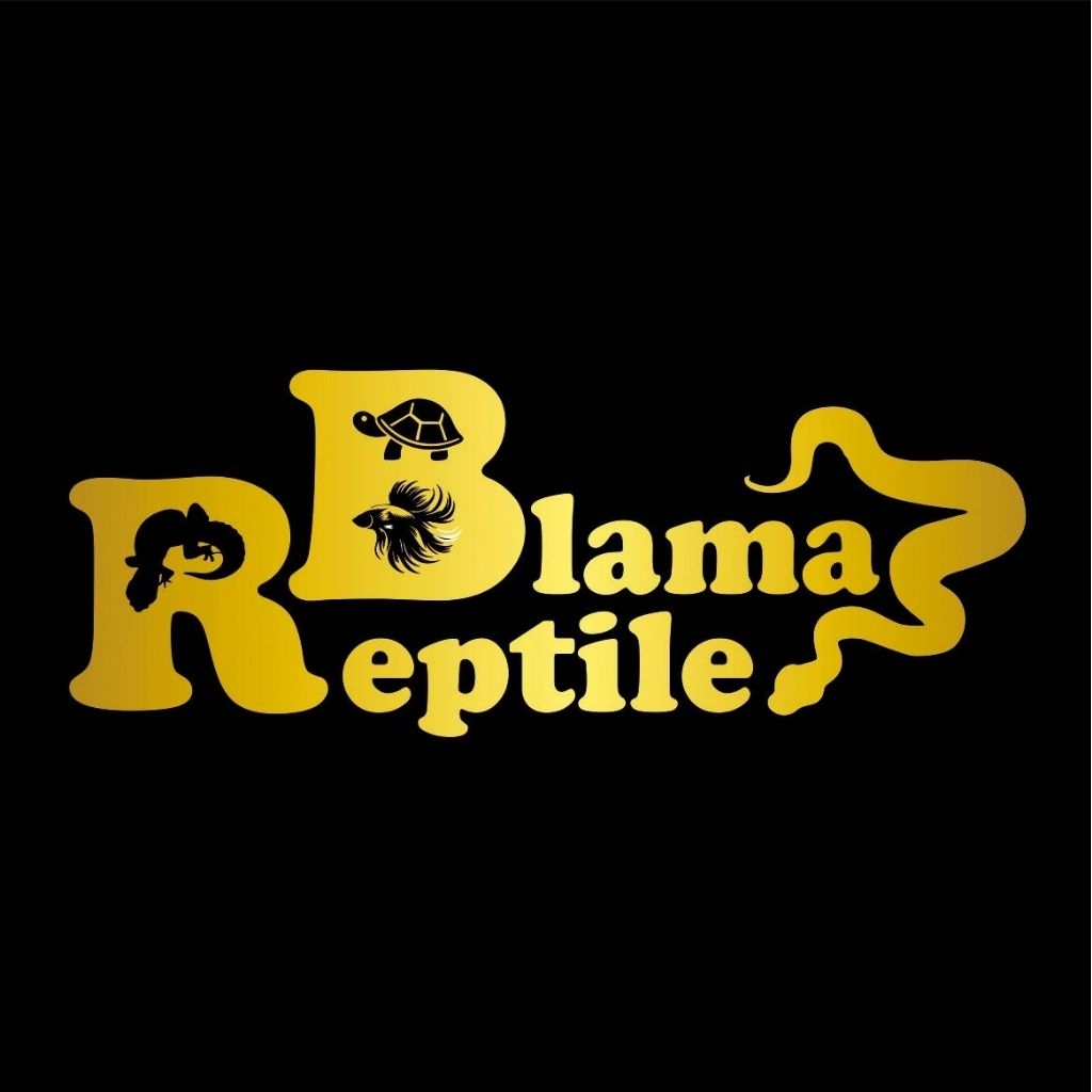 pelet hijau kurakura brazil