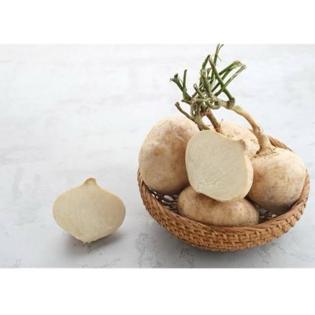 

Buah Bengkoang 1ikat