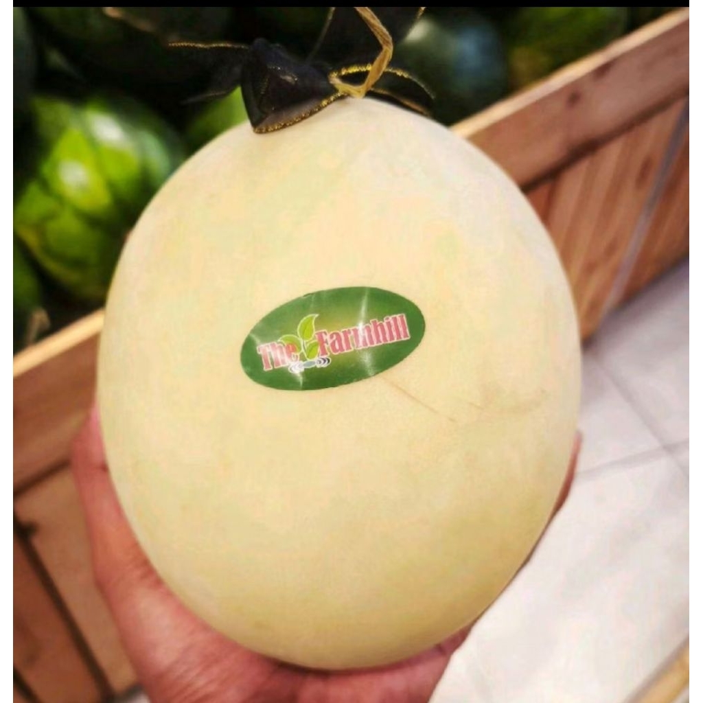 

Buah melon aruni melon manis garing fresh utuh -+1.5kg