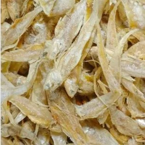 

ikan asin bulu ayam 250g