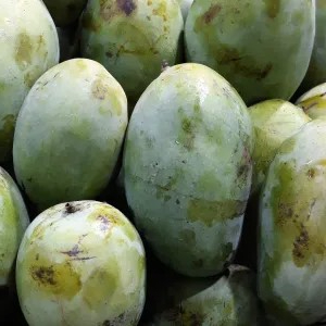 

mangga harummanis 1kg 1kg