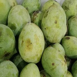 

mangga manalagi 1kg