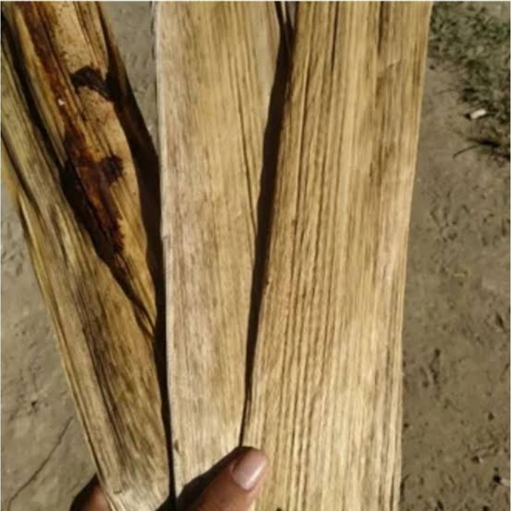 

pelepah pisang kering per lembar