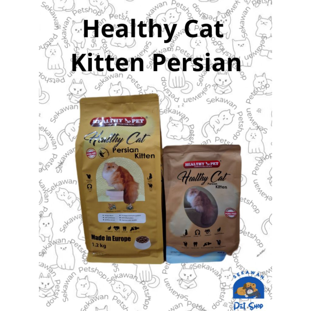 Healthy Cat Kitten Persian