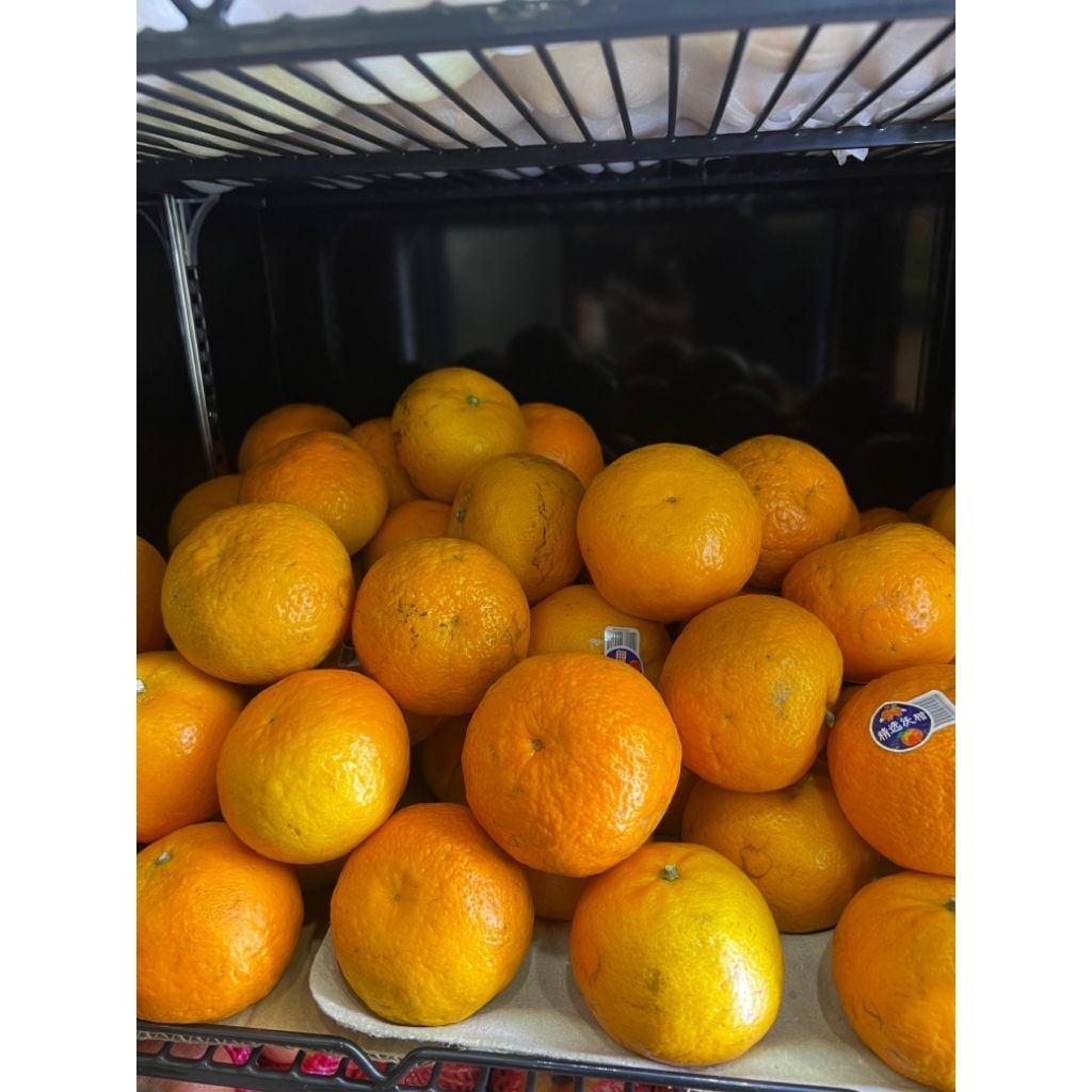 

jeruk wogan mandarin