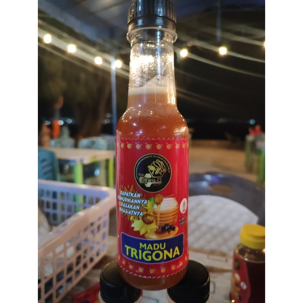 MADU BUDIDAYA TRIGONA BIROI