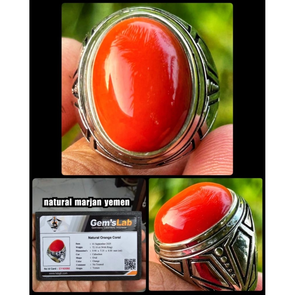 natural marjan merah jumbo super asli laut merah