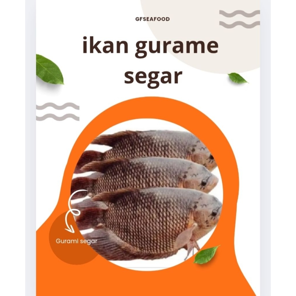 

Ikan Gurami Segar 1000g (Bukan Frozen)