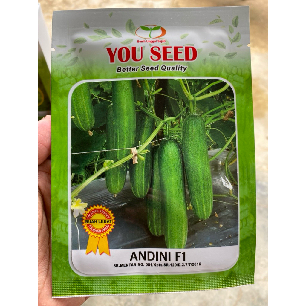 Benih timun ANDINI F1 you seed 20gram