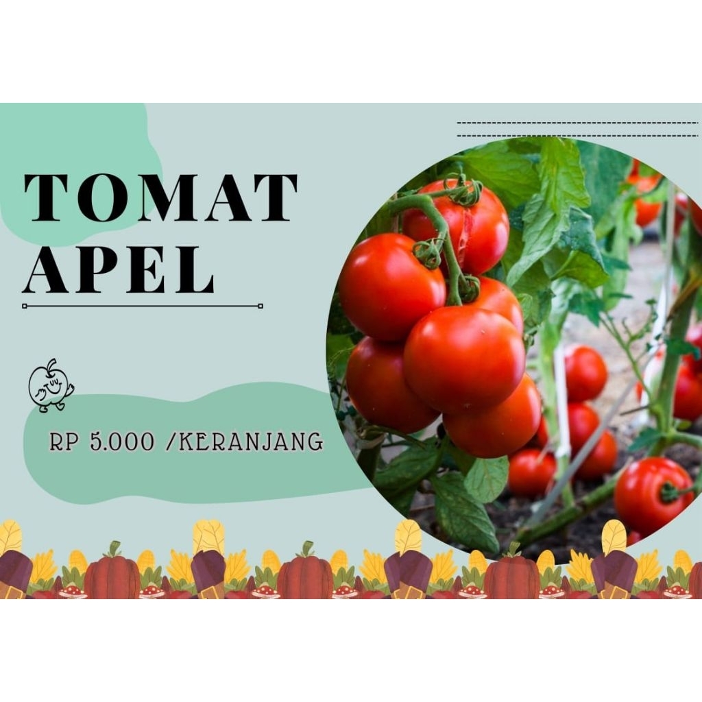 tomat apel