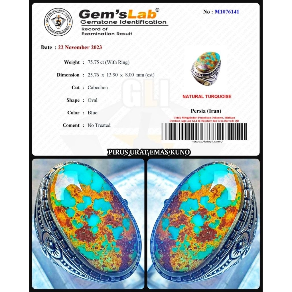 pirus urat emas asli pesian multi colour jumbo