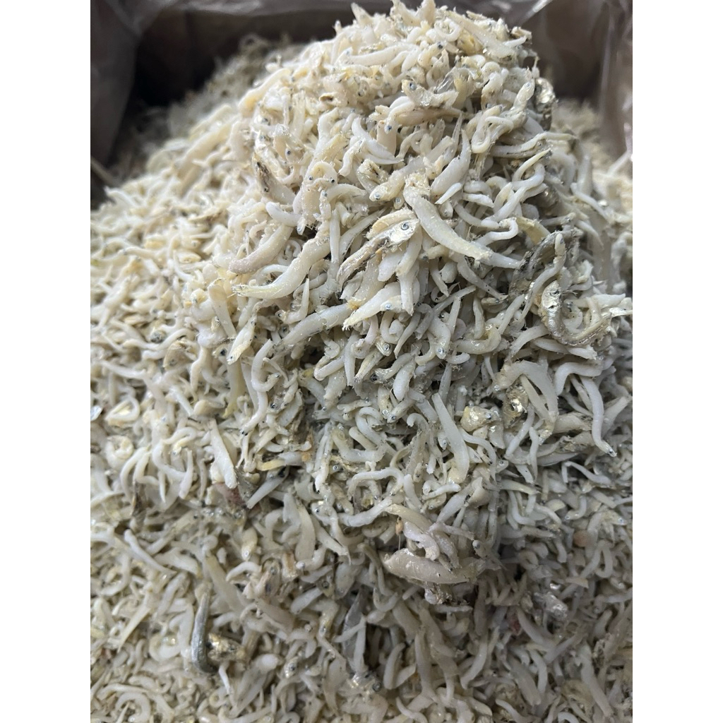 

teri nasi/teri medan toge super 500gr