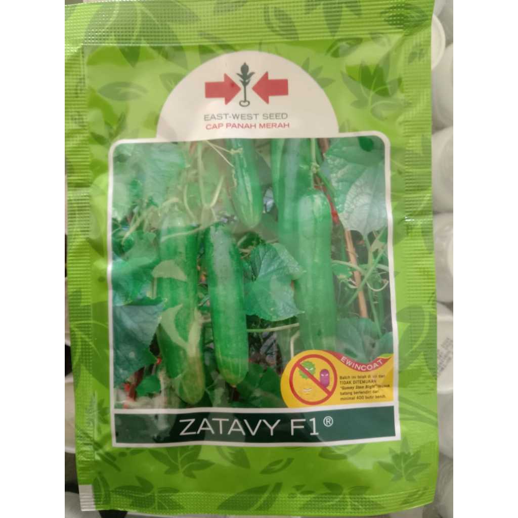 Timun Zatavy F1 800btr