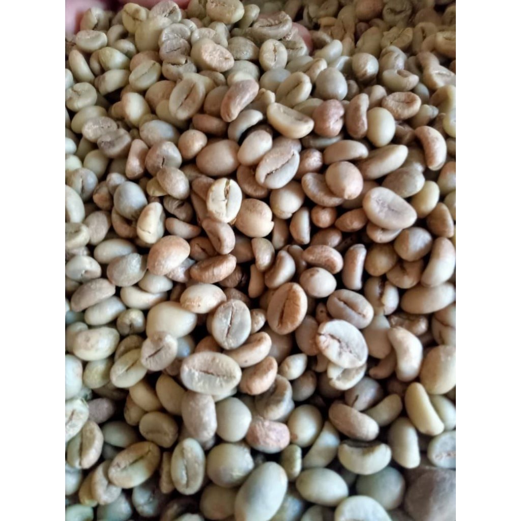 

biji kopi green bean Robusta Temanggung 1Kg