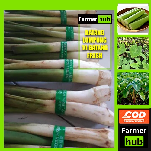 

Promo Batang Daun Lompong Segar 10 lembar diambil dadakan farmer hub