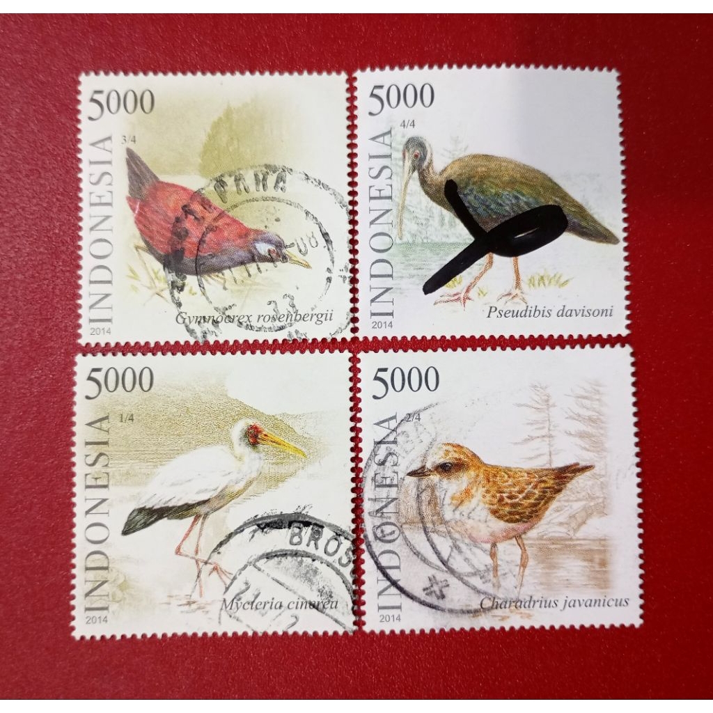 

PRANGKO INDONESIA BURUNG AIR 2014