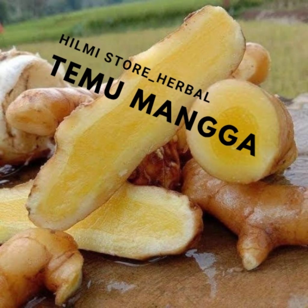 

temu mangga/kunyit mangga segar obat herbal alami 300 gram