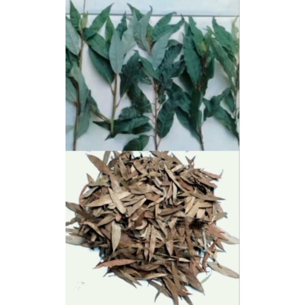 

Daun kayu lemo kering 100 gram