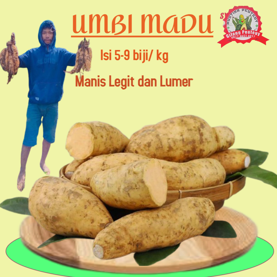 

Ubimadu Cilembu makanan tradisi nenek moyang turun temurun 1kg isi 3-10biji mentah fresh segar legit cocok untuk menu cemilan