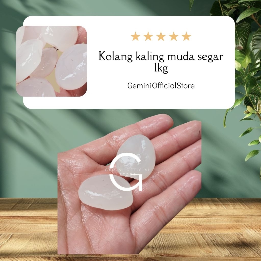 

kolang kaling segar muda 1kg {GOS}