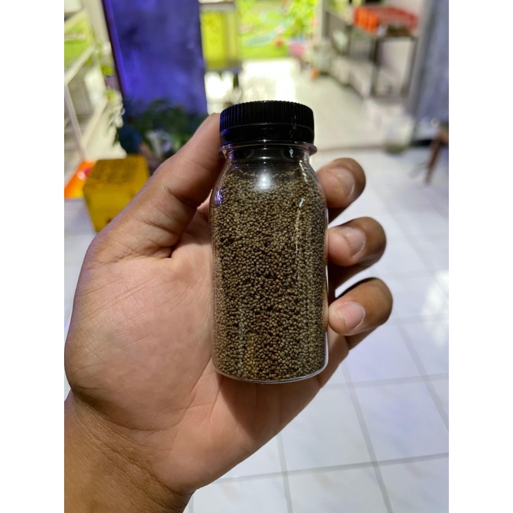 pelet pakan ikan hias cupa ng danio glopish manpish gupp y