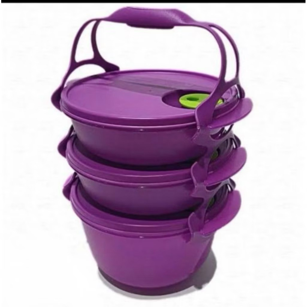 carry all bowl tupperware