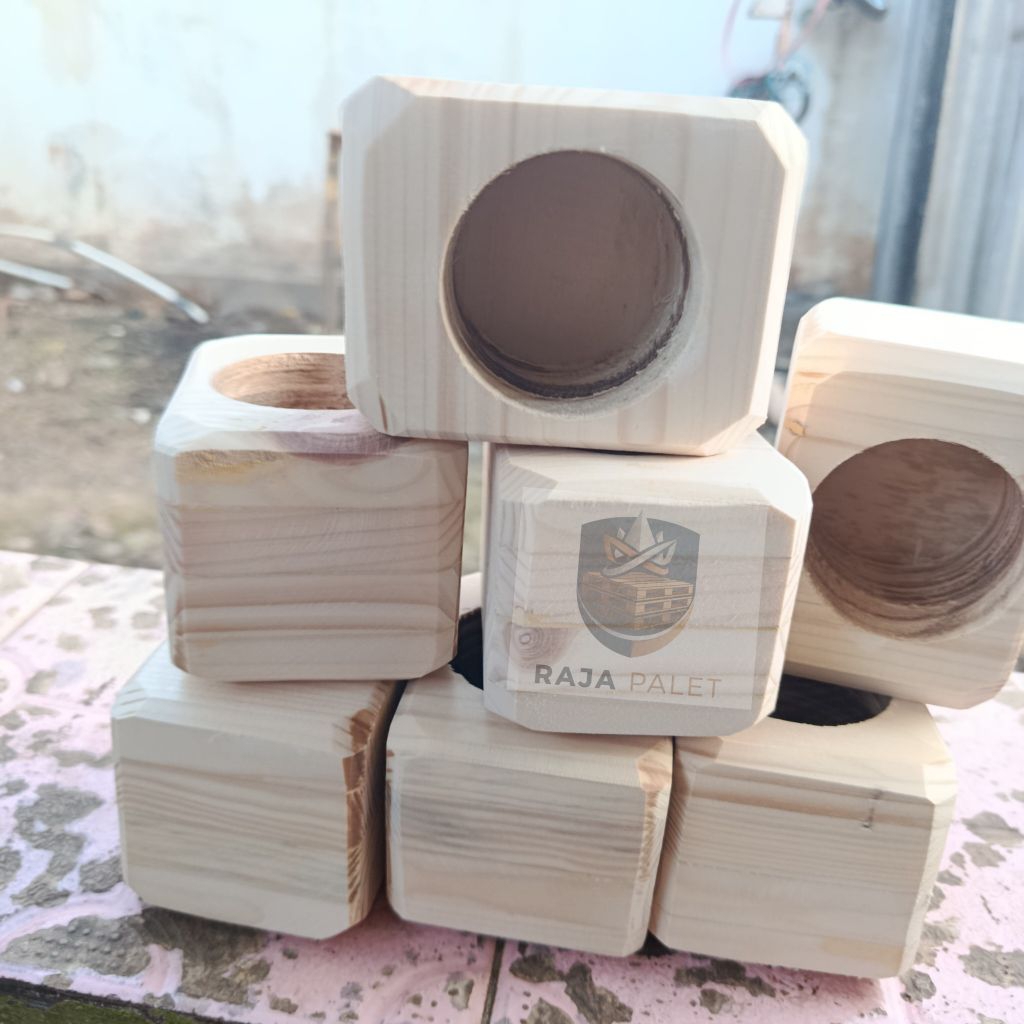 pot kaktus sukulen kayu unik mini kayu jati belanda bagus