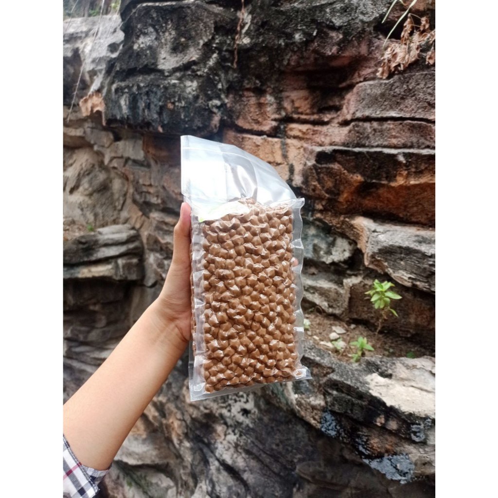 

Boba Hitam/Black Boba 1 Kg