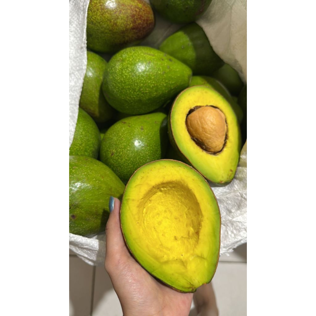 

alpukat mentega super