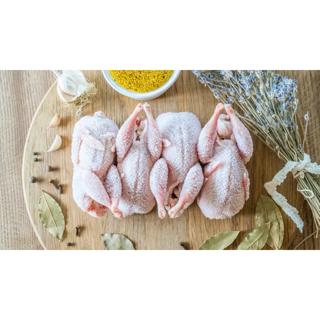 

AYAM FROZEN UTAMA 0,8 - 0,9