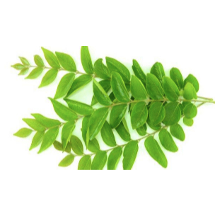 

Daun Kari 100 gram