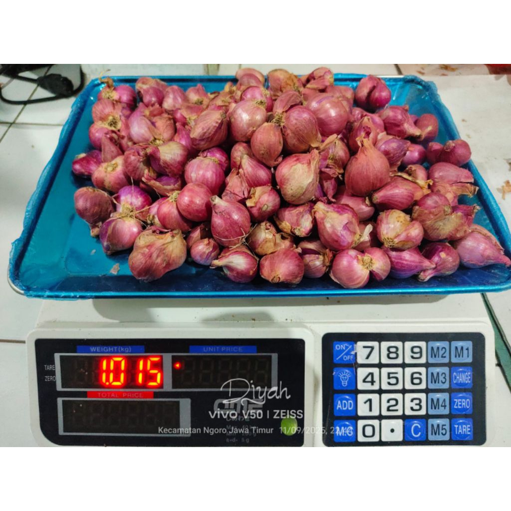 

Bawang nganjuk BESAR 1KG RATA