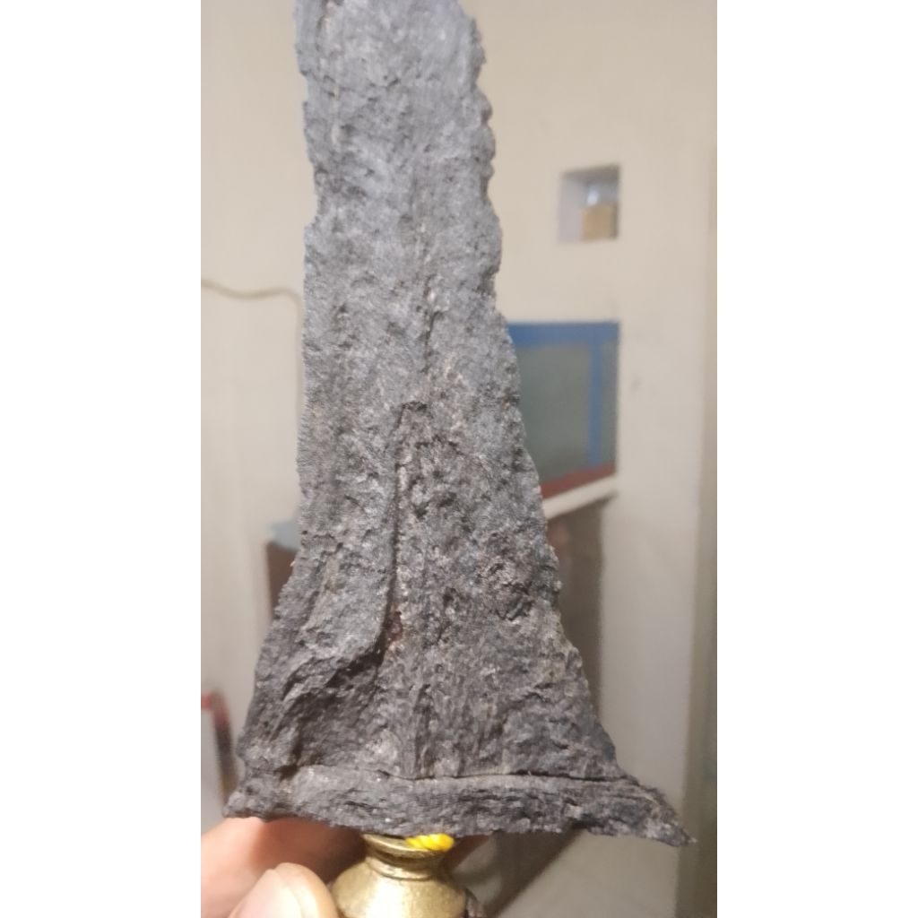 Bethok Jalak Budho Original Sepuh. Favorit Pusoko Tindih.