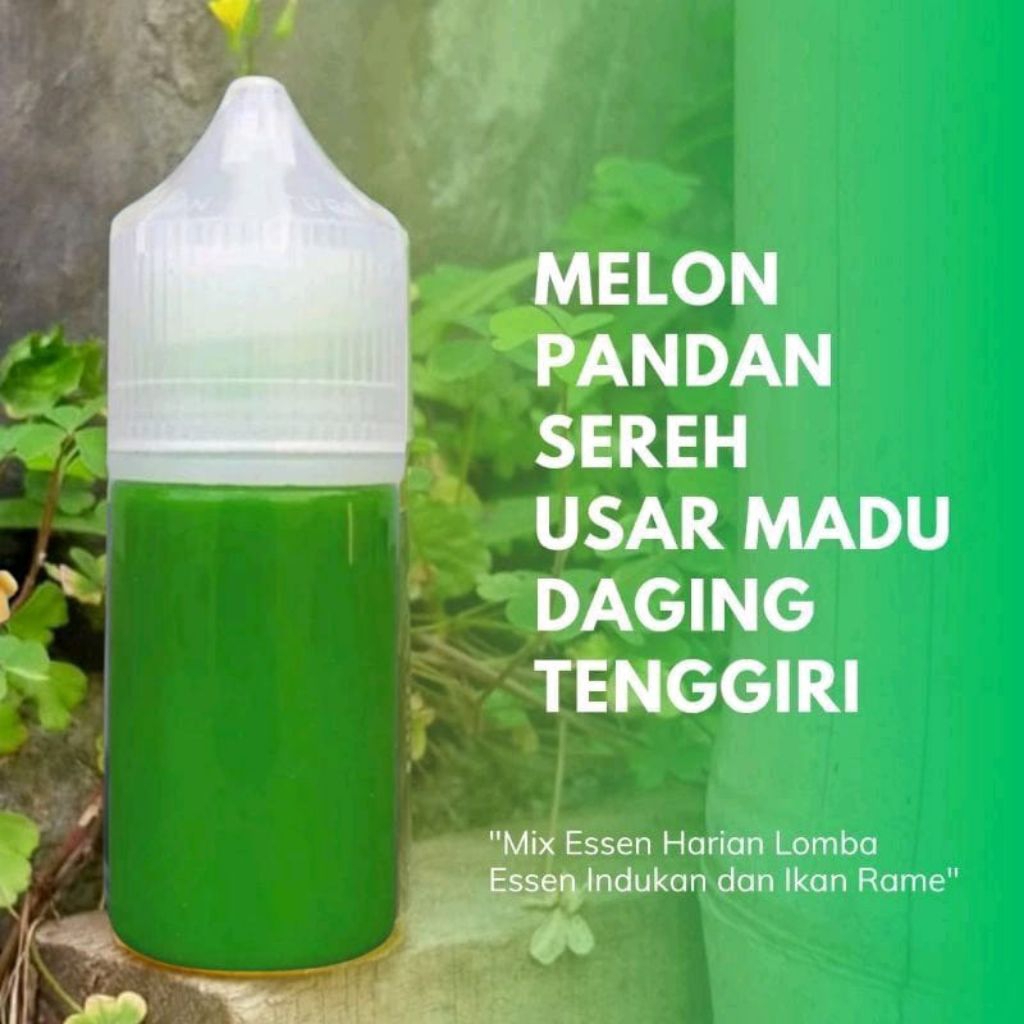 Essen ikan mas paling gacor aroma Essen ikan mas amis wangi, esen ikan mas totalan/harian kilo gebru